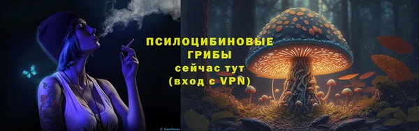 метадон Инсар