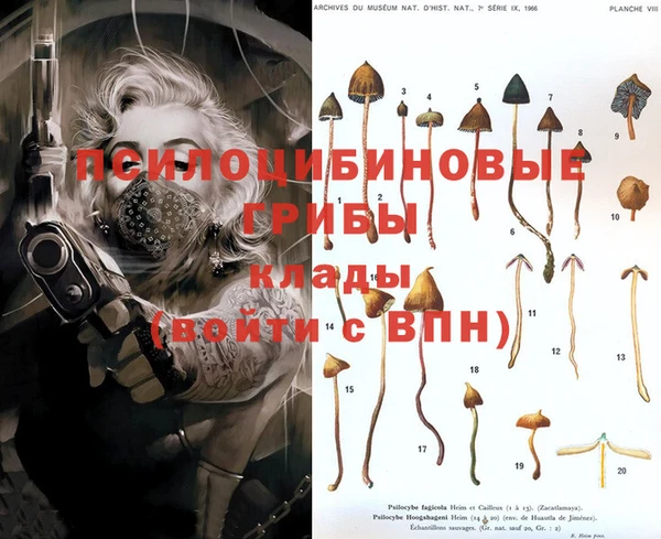 метадон Инсар