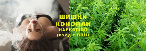 метадон Инсар