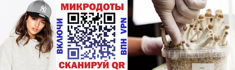 Галлюциногенные грибы прущие грибы  Купить закладки  Каспийск 